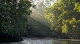 Ratanabá: por qué la leyenda de la ciudad perdida en el Amazonas "no tiene sentido", según un arqueólogo