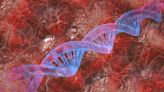 Study links sequence variants to DNA methylation and diseases