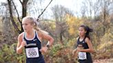 PIAA cross country: No titles, but local runners bring home medals, team accolades