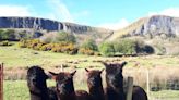 Leitrim to host Ireland’s First National Trail Conference to celebrate the great outdoors