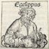 Hegesippus (chronicler)