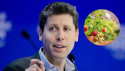 It looks like Sam Altman is dropping hints about OpenAI's next big thing