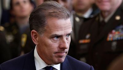 Hunter Biden allegedly paid in Romanian 'influence' plot