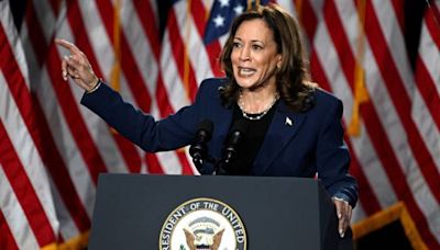 Market expert says the Kamala Harris-backed unrealized capital gains tax would be an 'unmitigated disaster'