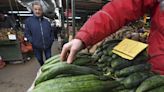 Feds investigate possible link between whole cucumbers, salmonella outbreak