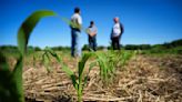 Land O'Lakes unit plays matchmaker for climate-conscious food companies and farmers