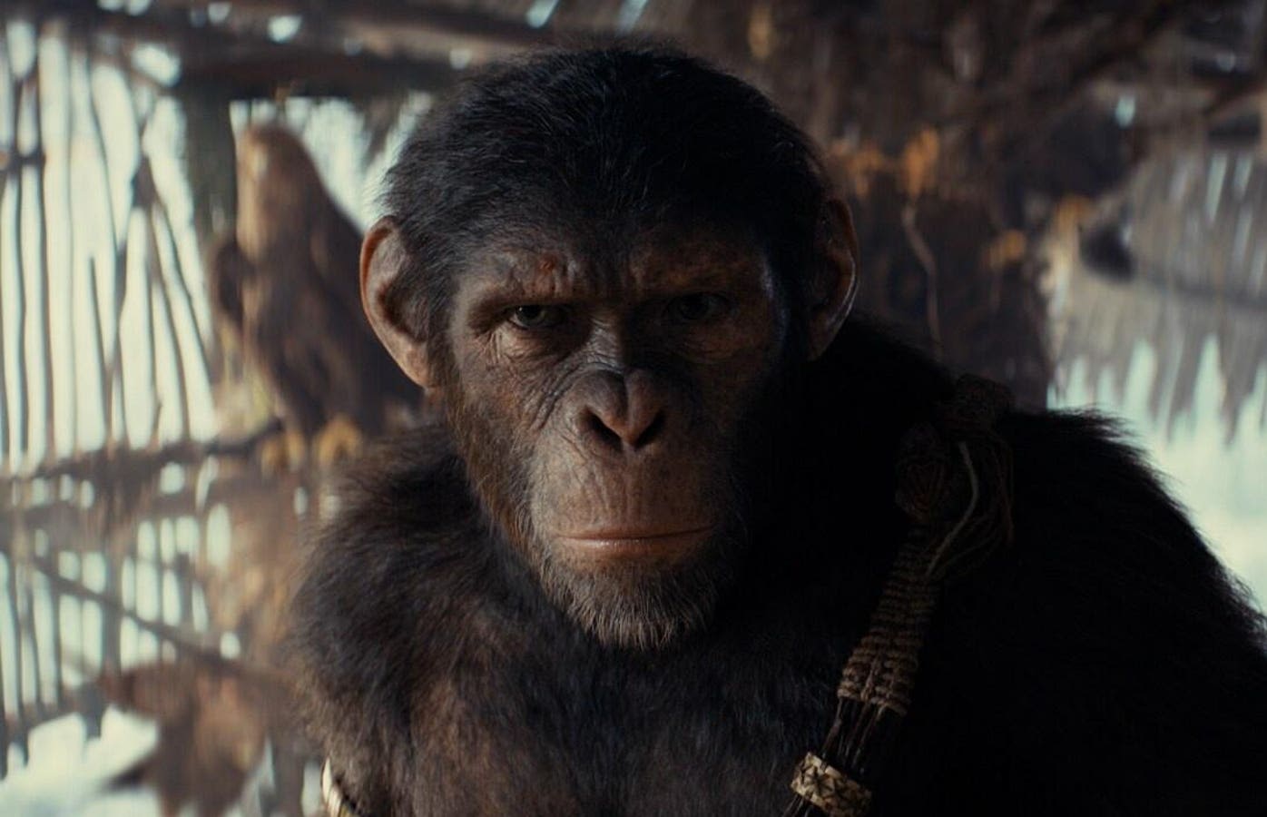 Does ‘Kingdom Of The Planet Of The Apes’ Have An End Credits Scene?
