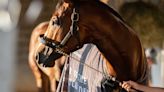 Ken McPeek Pondering 'Interesting' Pace Setup In Belmont Stakes