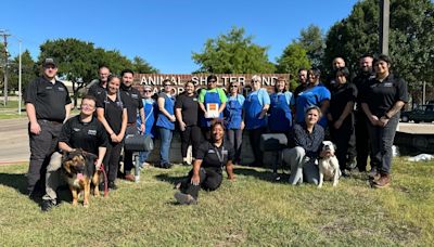 Mesquite Animal Shelter honored for high annual save rate by nonprofit