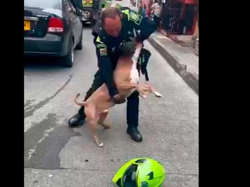 Policía le dispara a un perro pitbull en medio de un operativo