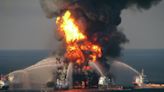 One-third of native fish Gulf species missing after BP disaster