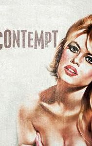 Contempt