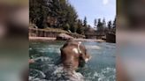 Elephant enjoys sunny day swimming at Oregon zoo