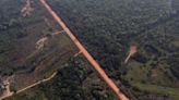 Highway slicing through Brazil’s Amazon could trigger an explosion of illegal deforestation