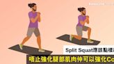 分腿蹲如何訓練？練習Split Squat好處與注意事項：與弓箭步及深蹲有甚麼分別?