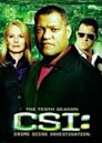 CSI: Crime Scene Investigation season 10