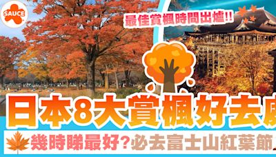 日本紅葉2024 | 日本最佳賞楓時間出爐！推薦8大賞楓地點+必睇富士紅葉節！