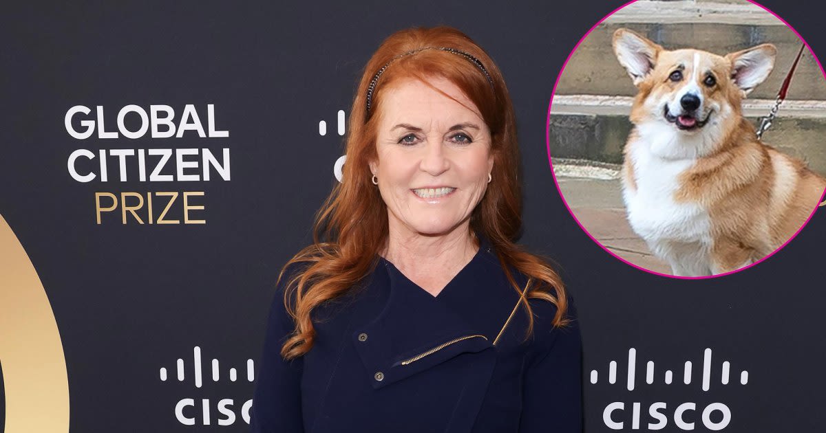 Sarah Ferguson Says Her and Queen Elizabeth's Dogs Get Along Well