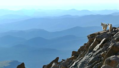 Last chance to drive up Mount Blue Sky before scenic byway closes until 2026