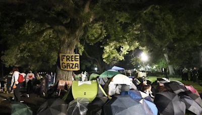 Hundreds of pro-Palestinian protestors occupy Tulane campus, 6 arrested