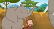 5. Count on George to Deliver; The Baby Elephant