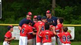 Morrisville 11-and-under Little League team caps super season with Eastern Regional title