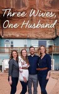 Three Wives, One Husband