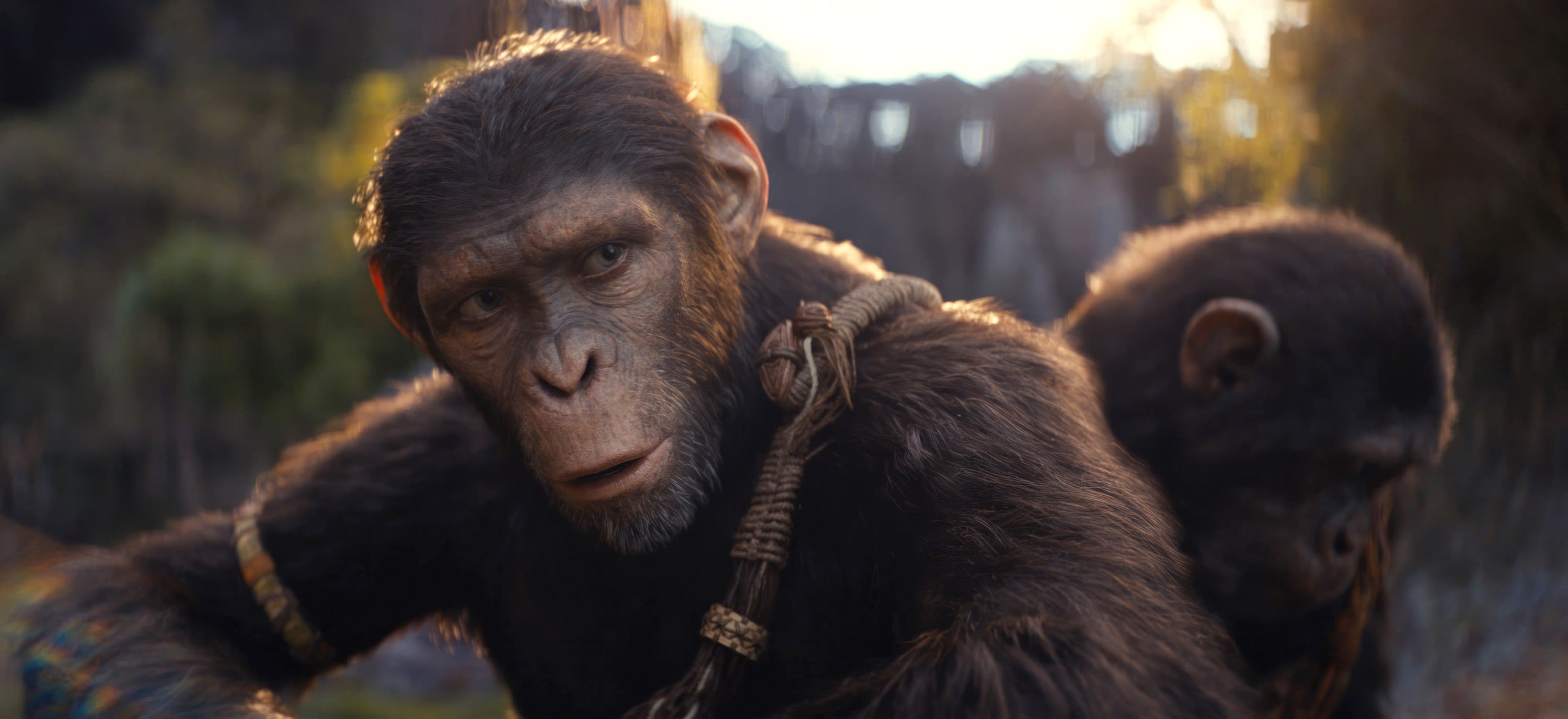 Box Office: ‘Kingdom of the Planet of the Apes’ Climbs to $22 Million Opening Day