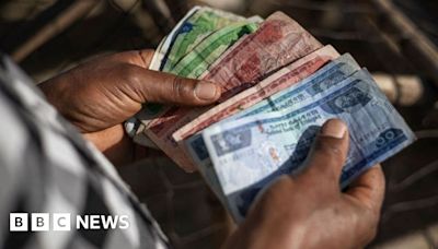 Ethiopia birr: Currency falls 30% amid IMF-friendly policy change