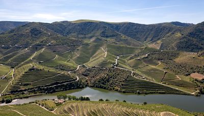 Entrada de vinho a granel no Douro – é proibido, mas pode-se fazer