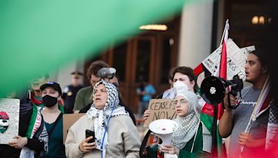 At Capitol, pro-Palestinian protestors demand CT divest from Israel