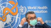 Pandemic treaty talks in Geneva get one final big push