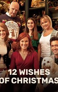 12 Wishes of Christmas