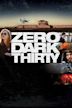 Zero Dark Thirty