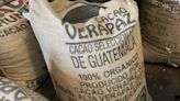 Cocoa bean prices rising due to global shortage