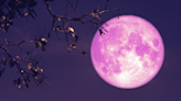 The Full Flower Moon Is Blooming Soon! Best Times To See & More