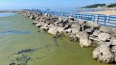 University of Michigan to serve as hub for studying algal blooms on Great Lakes