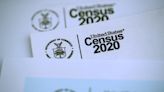 Adding Middle Eastern or North African on the U.S. Census Provides Benefits