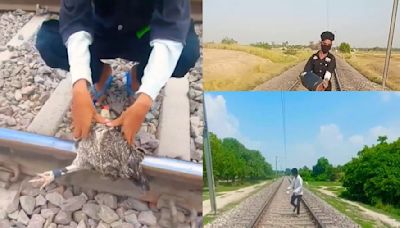 Gulzar Sheikh's Railway Track Stunts: YouTuber Arrested For Hazardous Videos