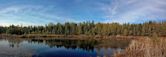 Sifton Bog