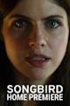 Songbird