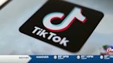 Ban on Tik Tok could affect more Chinese owned companies