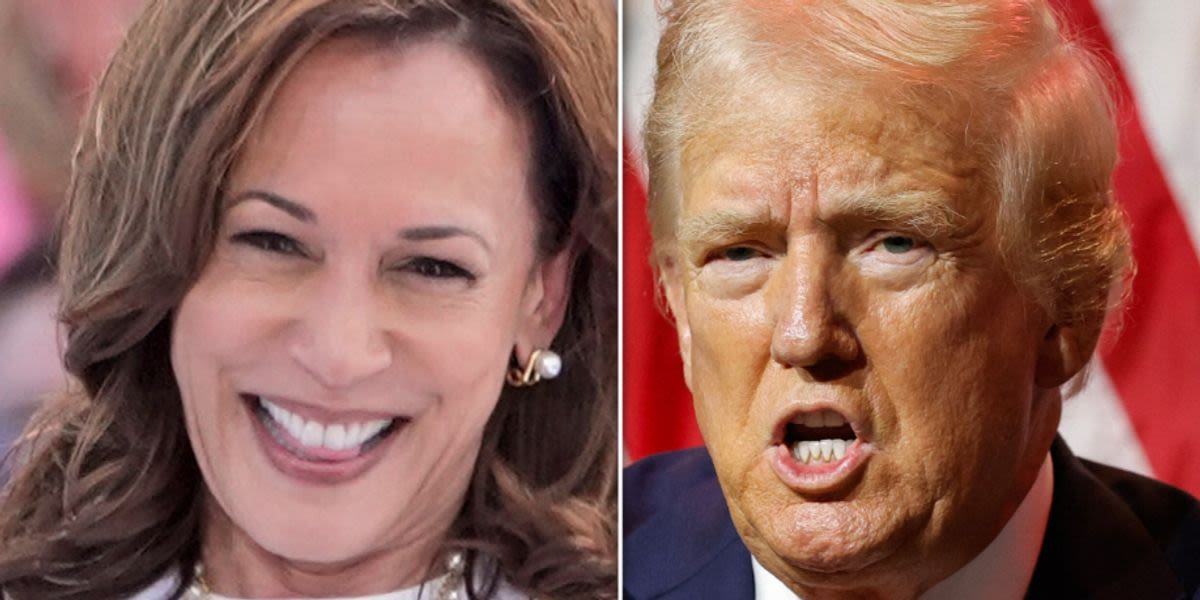 Kamala Harris Stops Rally Crowd's 'Lock Him Up' Chant With Perfect Reminder About Trump