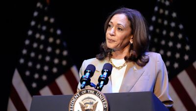 Kamala Harris' Support For Israel "Ironclad" After Attack On Golan Heights