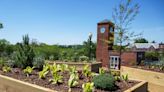 GW Sustainability establishes community garden on the Vern
