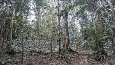 Panamá bloquea casi 5 kilómetros de pasos usados por migrantes en la selva del Darién