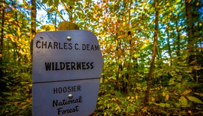 Rep. Erin Houchin introduces bill in House to expand wilderness, add rec area in Indiana