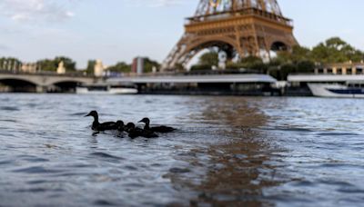 Paris 2024 Olympics: Men’s triathlon postponed to Wednesday due to Seine pollution levels