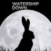 Watership Down