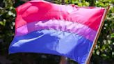 Día de la Bisexualidad. Significado de los colores de la bandera